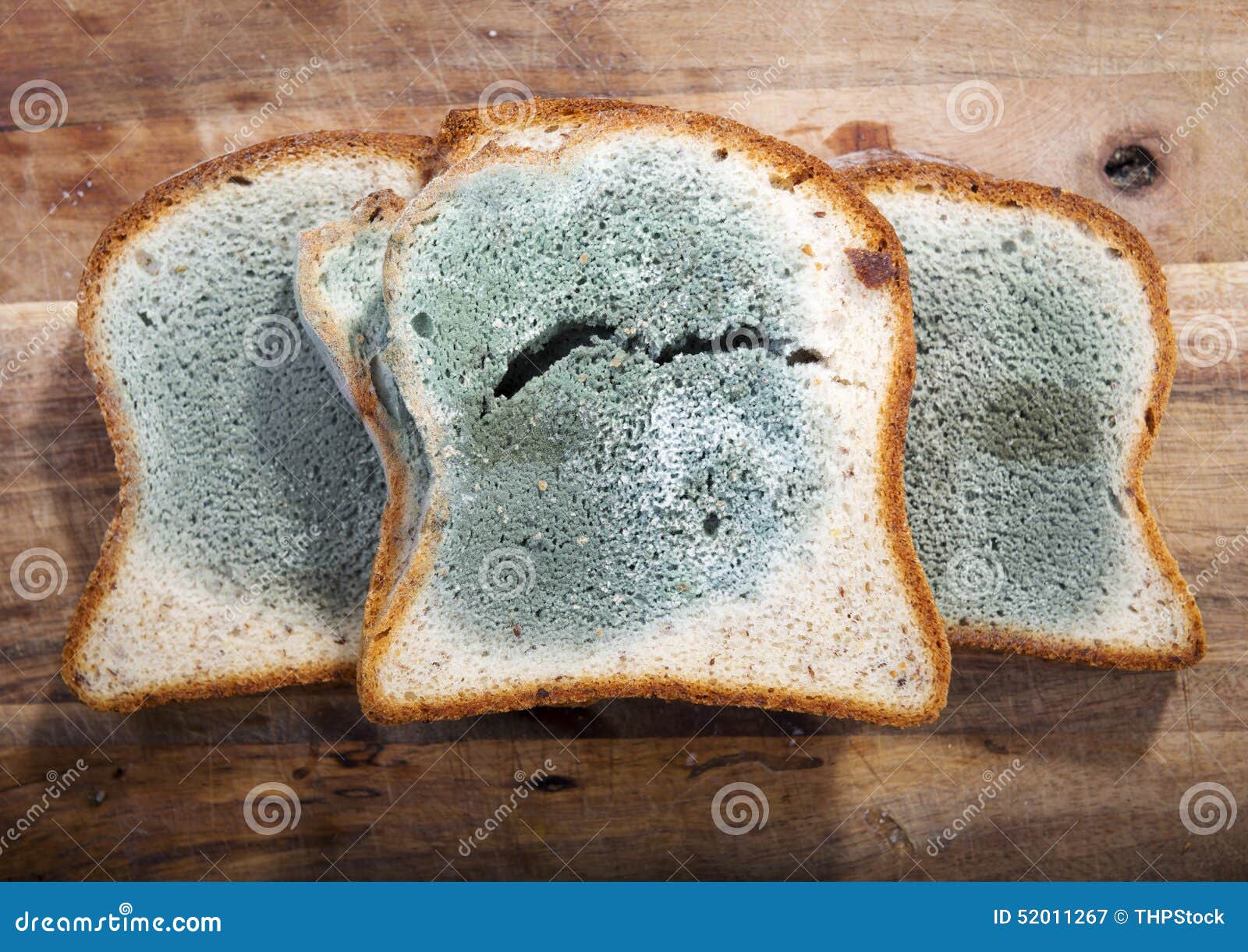 Moldy Bread stock image. Image of closeup, microorganism - 52011267