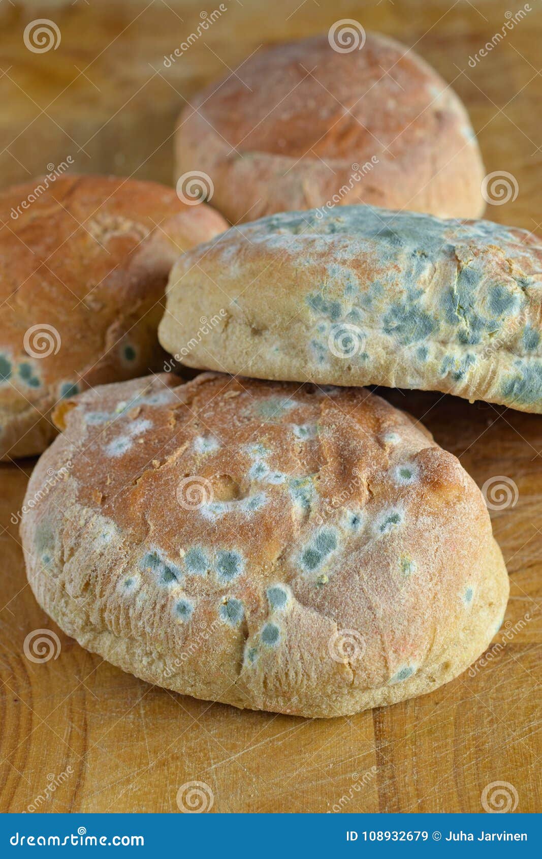 Moldy bread stock image. Image of hygienic, mould, bacteria 108932679