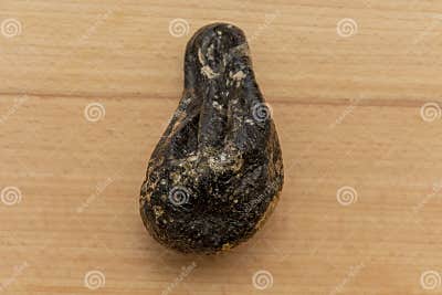 moldy avocado is a chemical
change.