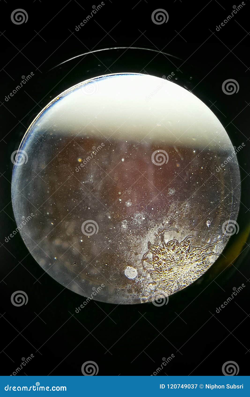 Moldy and Dust on Dirty Lens Camera Image Closeup. Stock Image Image