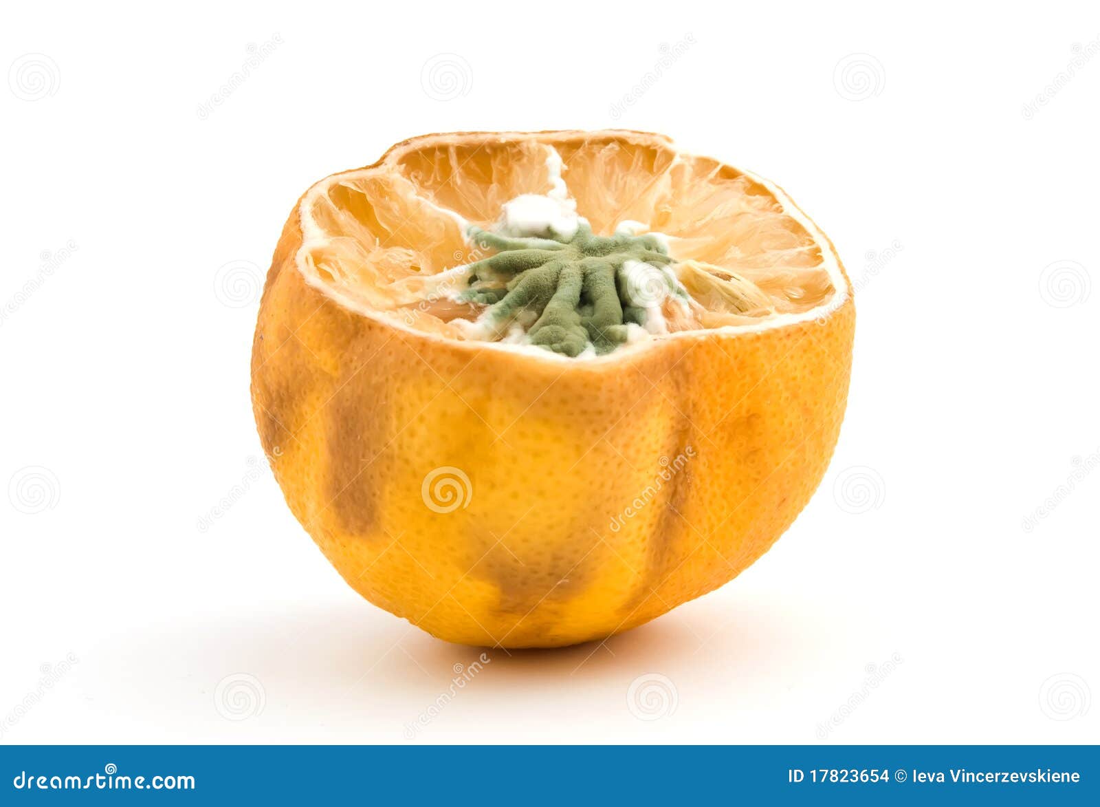 Moldy lemon stock photo. Image of unhealthy, fungi, background 17823654