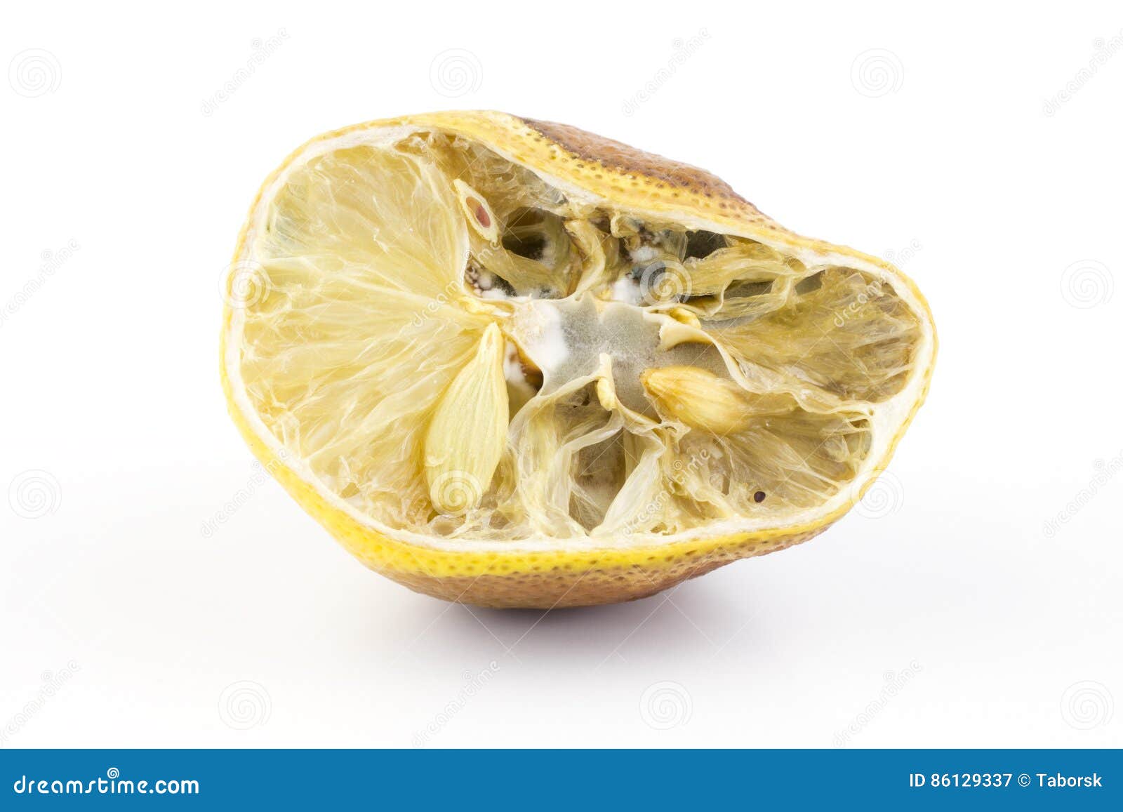 Moldy Lemon on White Background Stock Image Image of mouldy, rotten 86129337