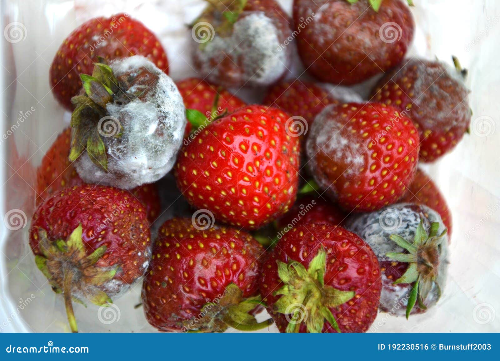 Is It Safe To Eat Moldy Strawberries?