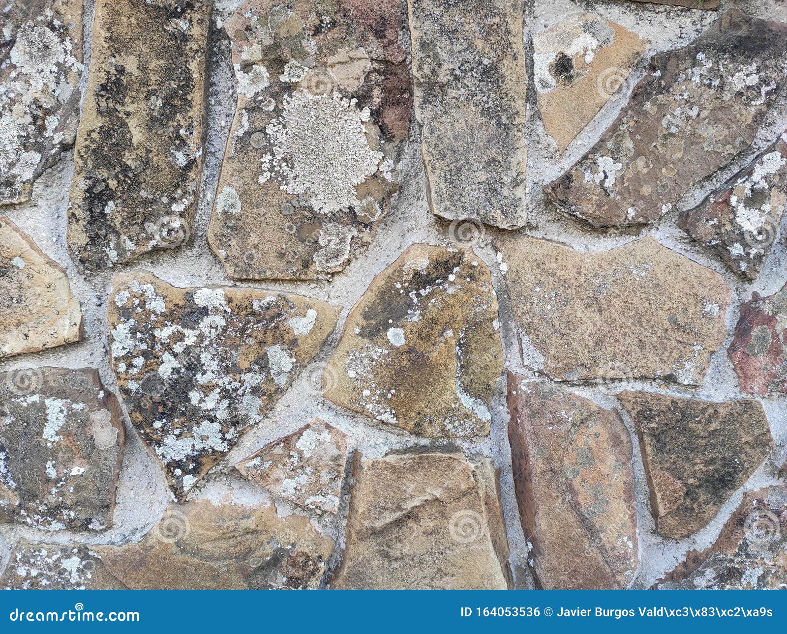 Moldy Rock Wall Texture stock photo. Image of house - 164053536