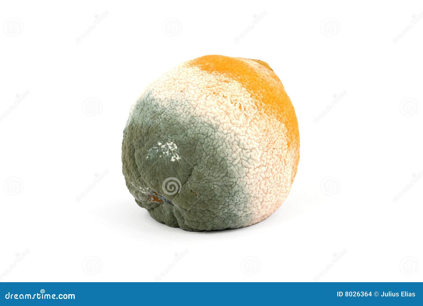 Mold On Food Orange Color Texture Stock Photo 1086279044