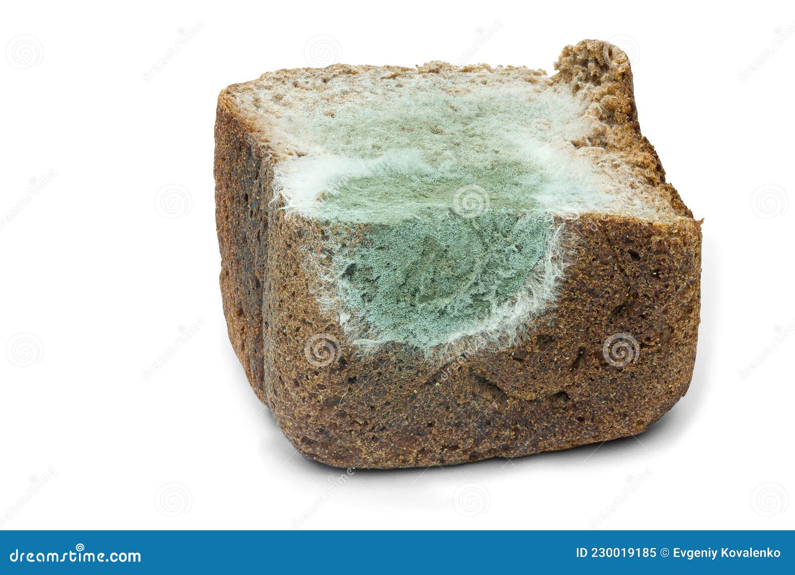 Moldy Rye Bread Cloup Macroshot Imagen de archivo Imagen de