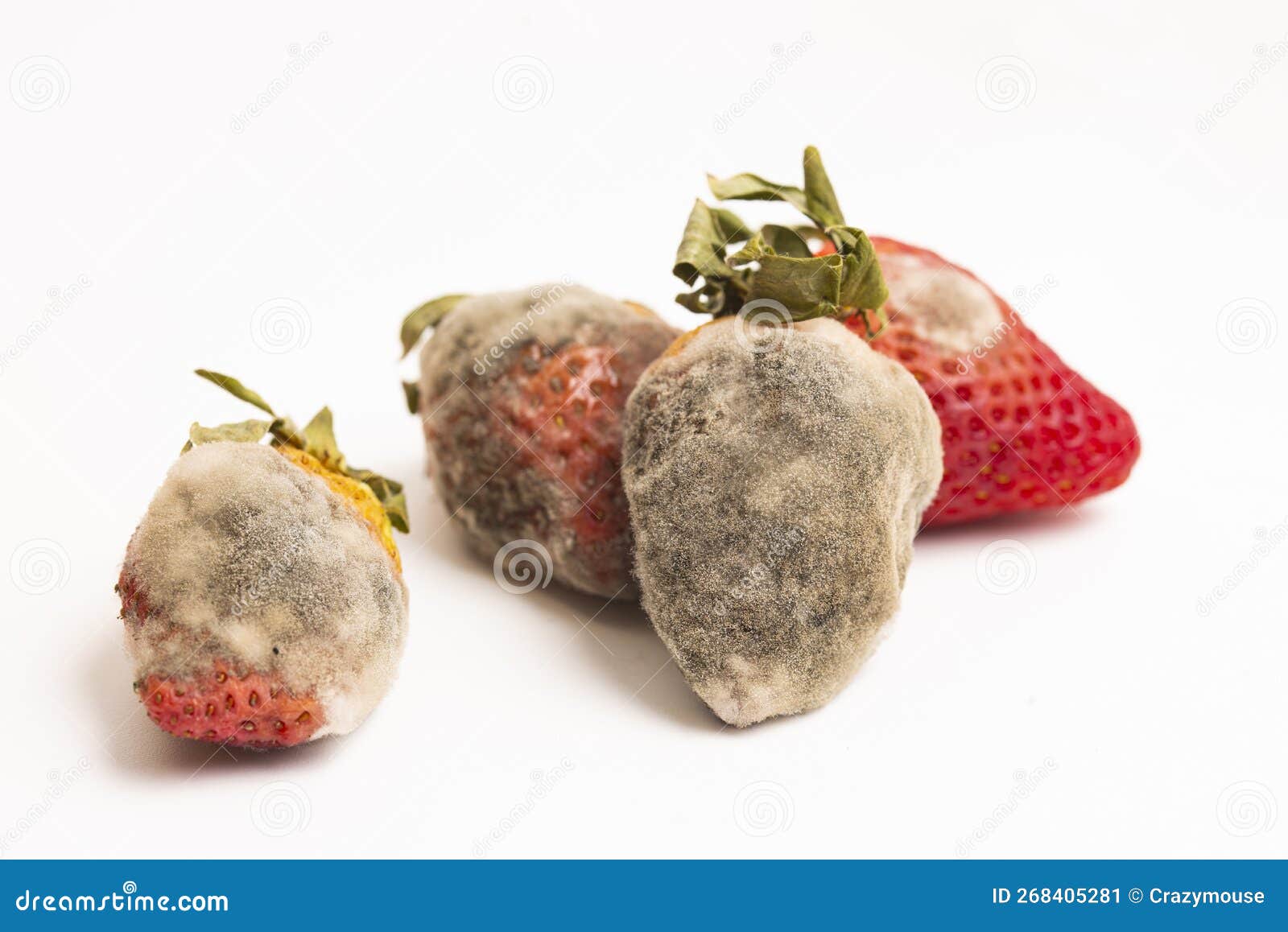 4,732 Strawberry Mold Images, Stock Photos, 3D objects, & Vectors