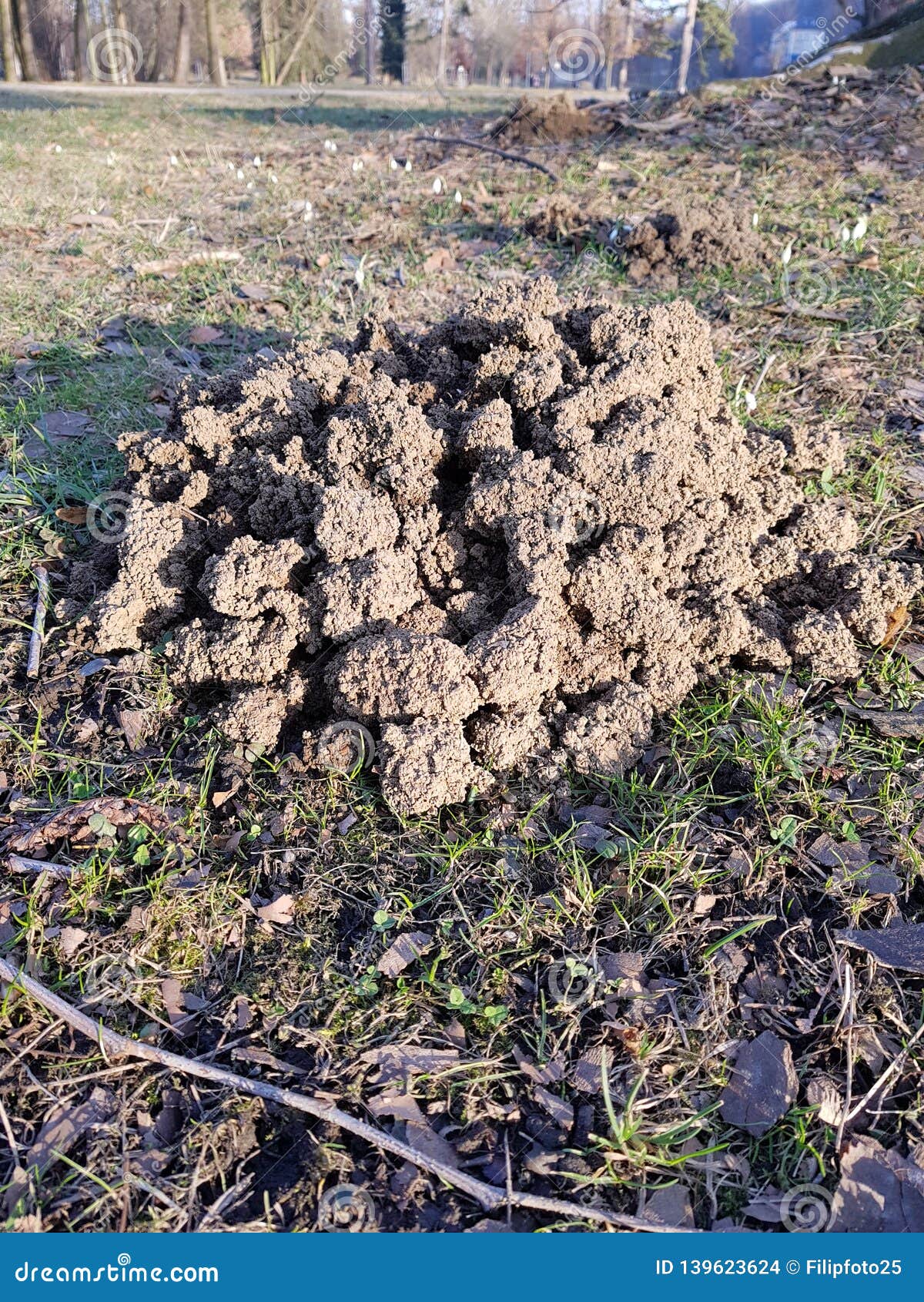 The Mole Stock Photo Image Of Spring Beautiful Ground 139623624
