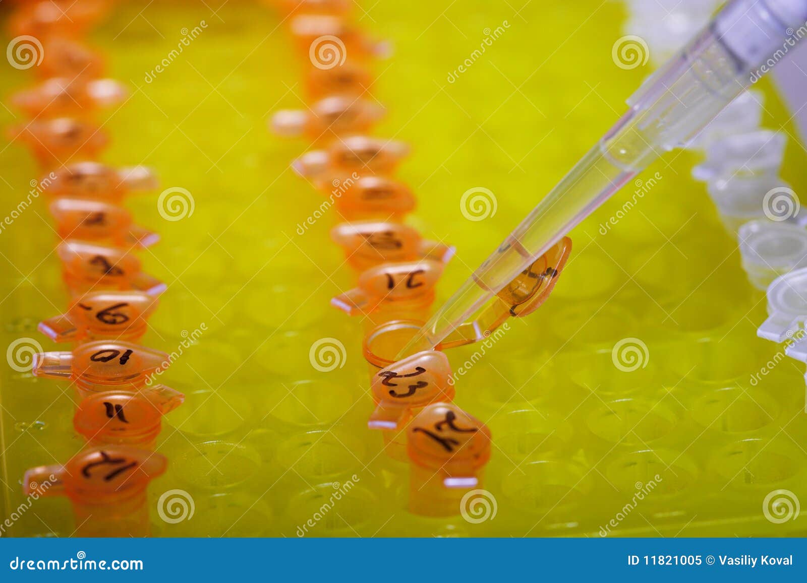 Molecular biology stock image. Image of experiment, pipette 11821005