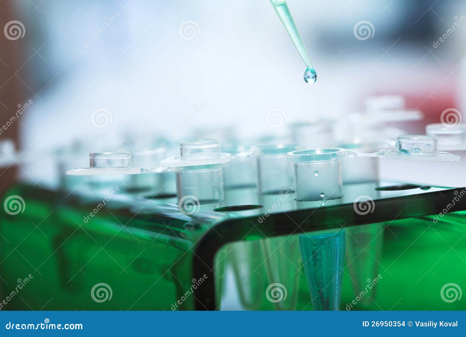 Molecular biology stock photo. Image of biotechnology 26950354