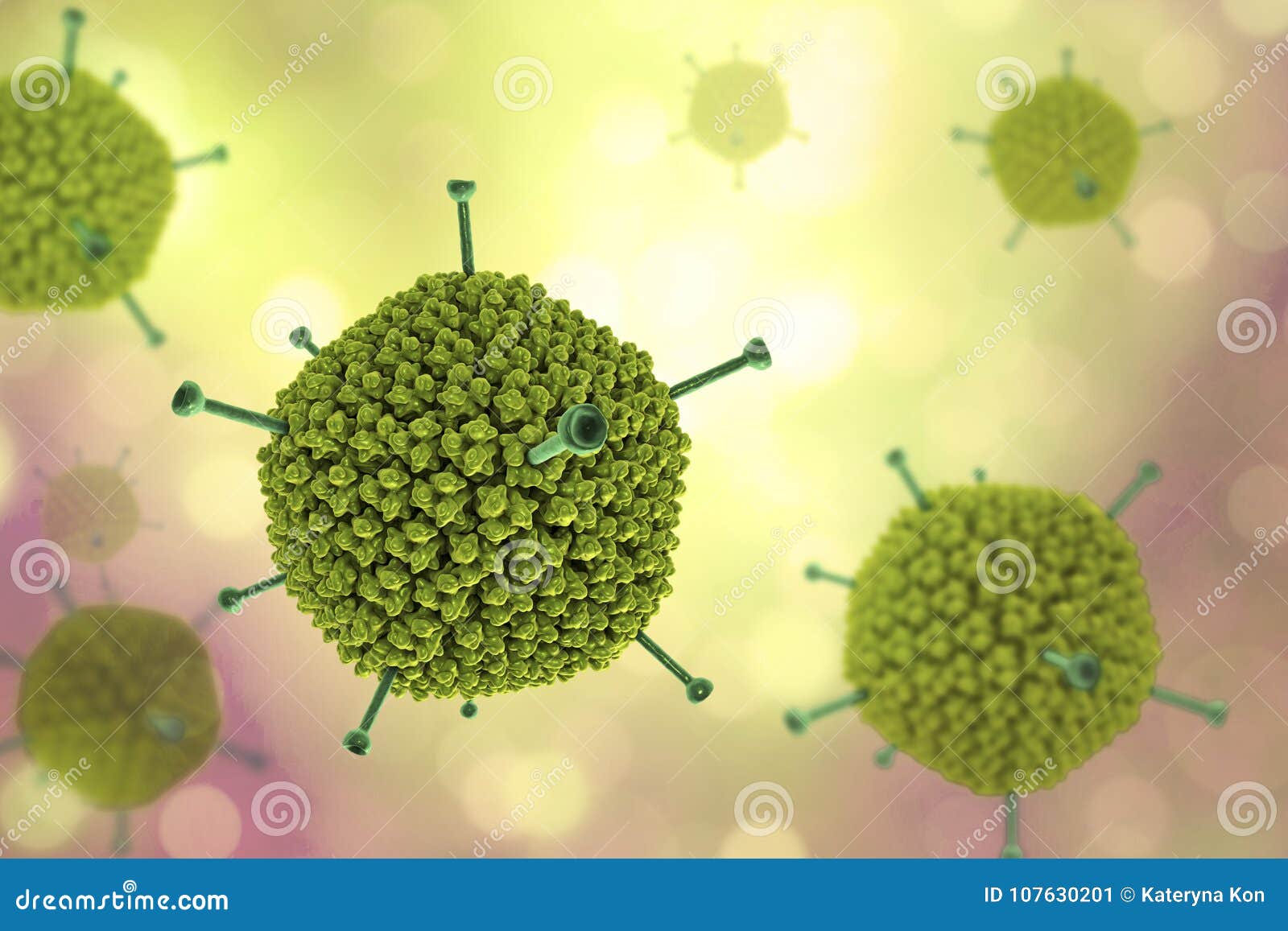molecular model of adenovirus