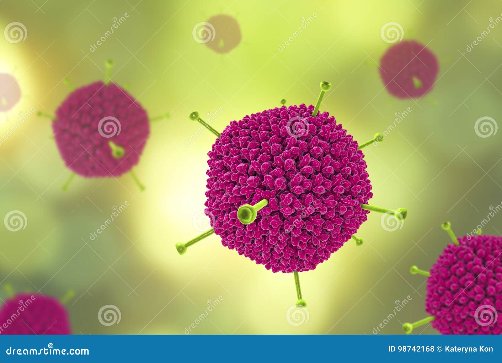 molecular model of adenovirus