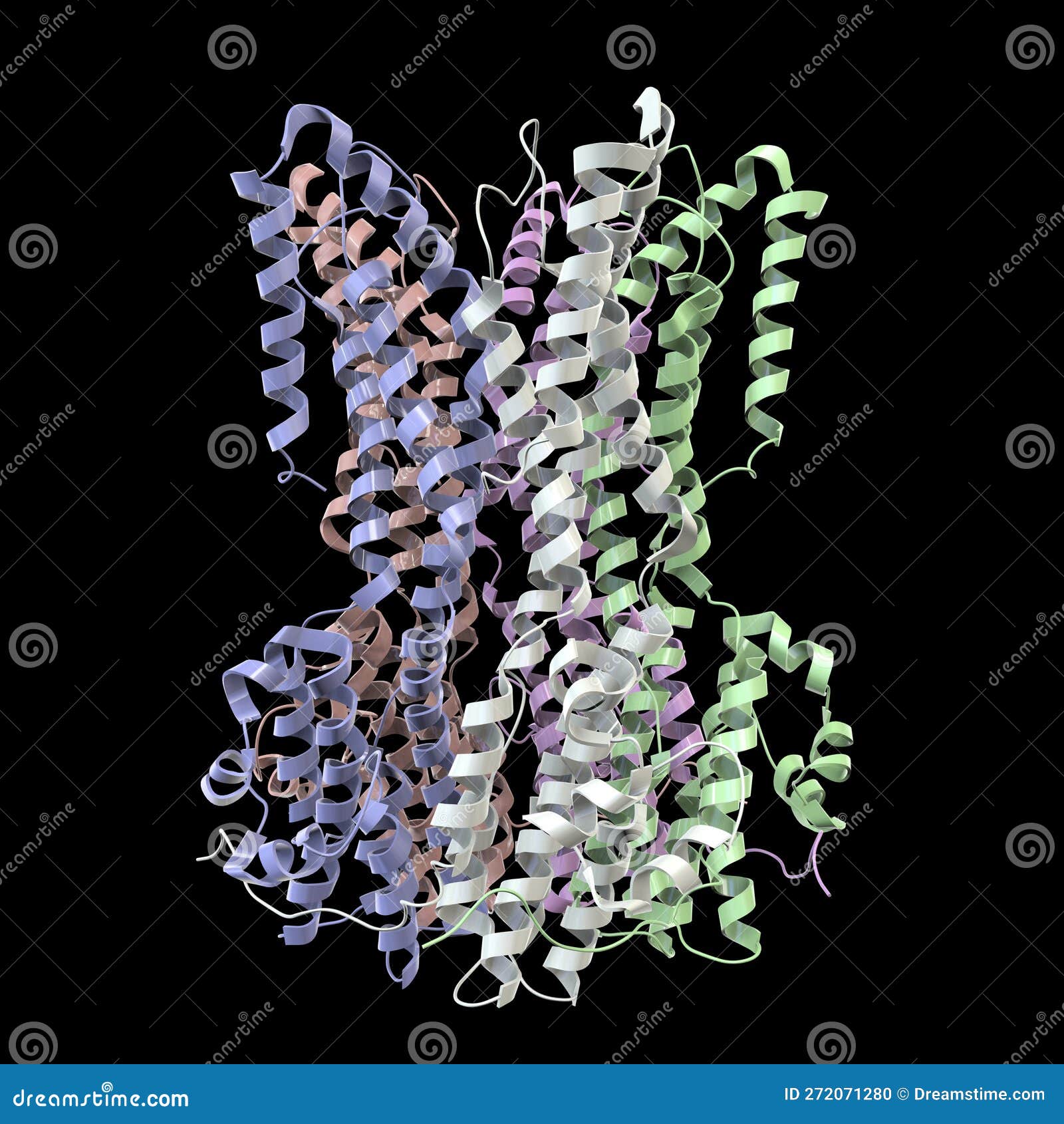 molecular model of bestrophin-1 protein best 1, 3d . a protein responsible for regulating calcium signaling in cells