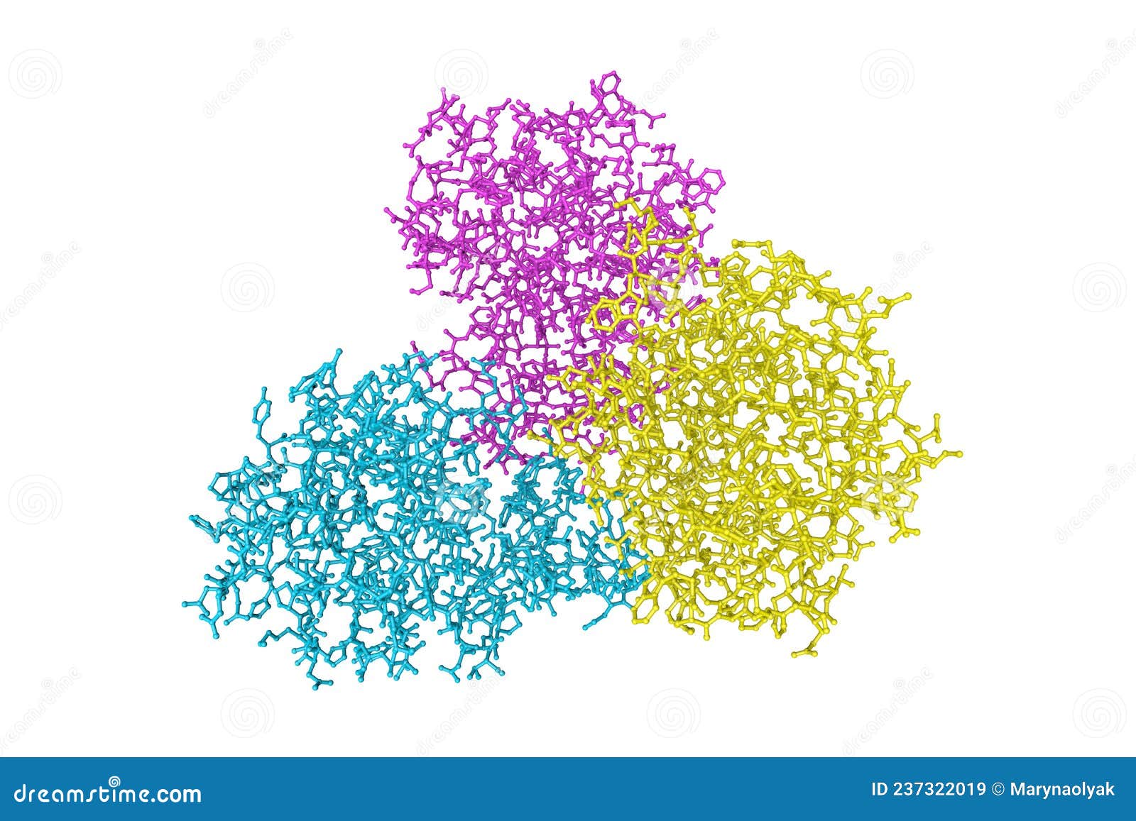 molecular model of the fibrinogen-like domain of human angiopoietin-3. rendering with differently colored protein chains