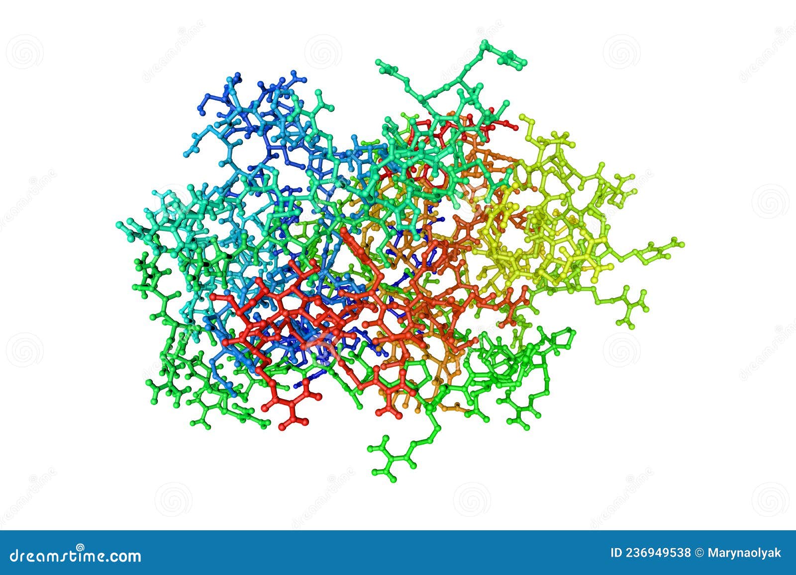 molecular model of human cathepsin g  on white background. rendering based on protein data bank entry 1cgh
