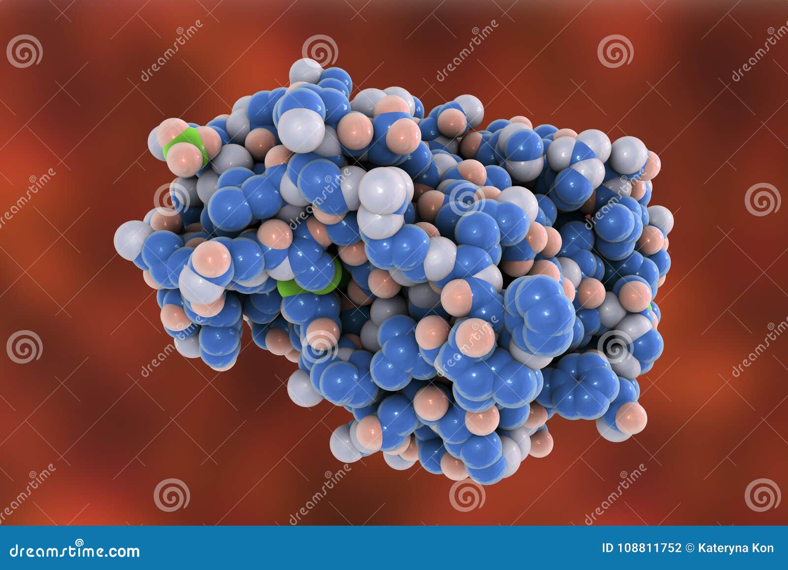 molecular model of snake venom metalloproteinase from the snake crotalus adamanteus