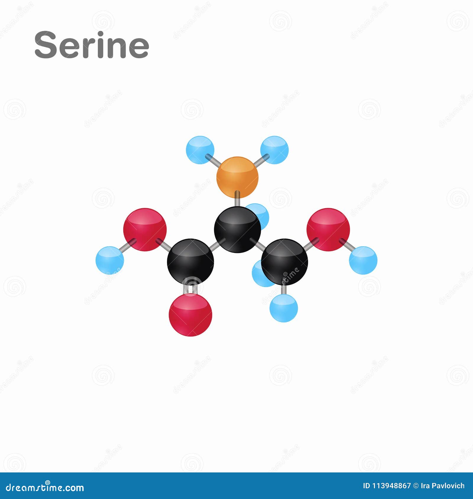 molecular omposition and structure of serine, ser, best for books and education