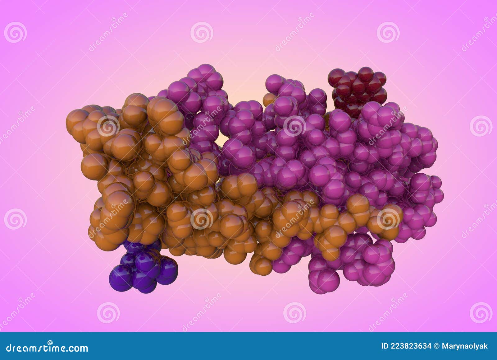 Molecular Structure of Human Chorionic Gonadotropin, a Hormone Produced