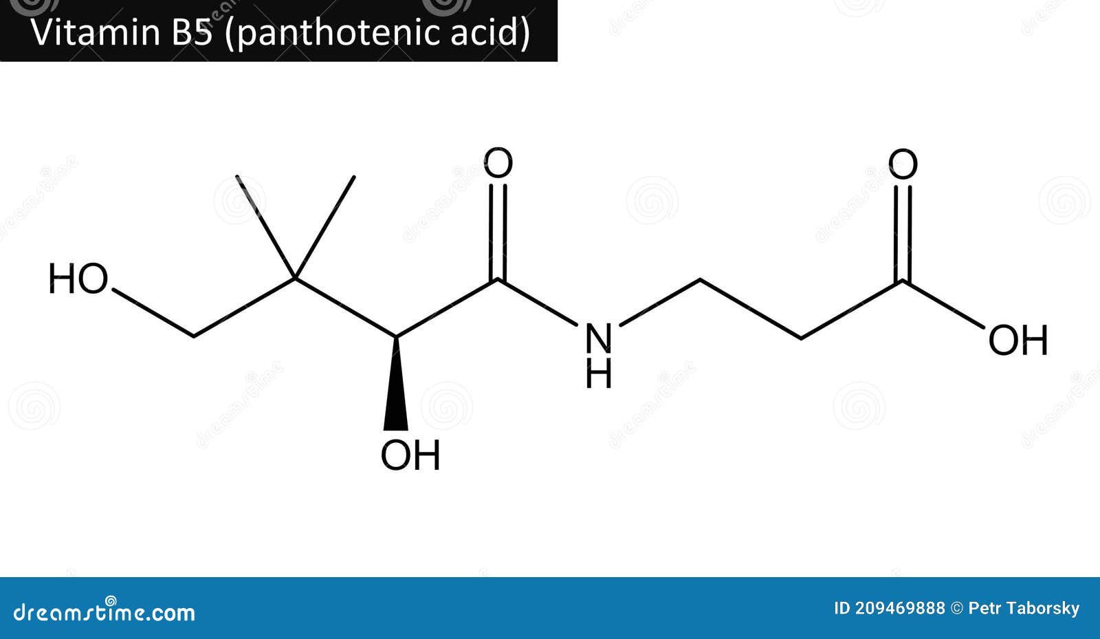 molecular structure of panthotenic acid vitamin b5