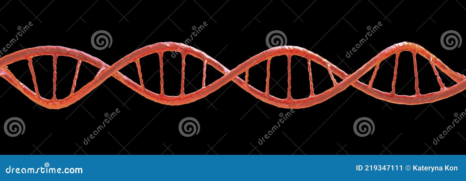 molecule of dna, double helix, 3d 