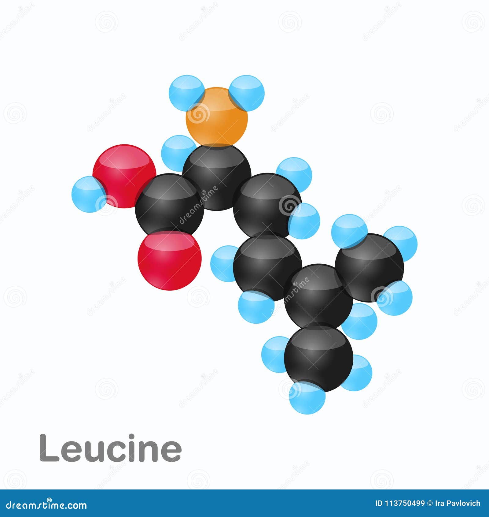 molecule of leucine, leu, an amino acid used in the biosynthesis of proteins