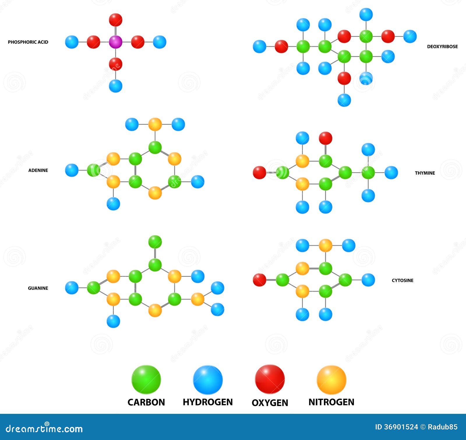 for symbol life scientific Basic Building Of Molecules Blocks Acid Vector Dna Deoxyribonucleic for symbol life scientific Basic Building Of Molecules Blocks Acid Vector Dna Deoxyribonucleic