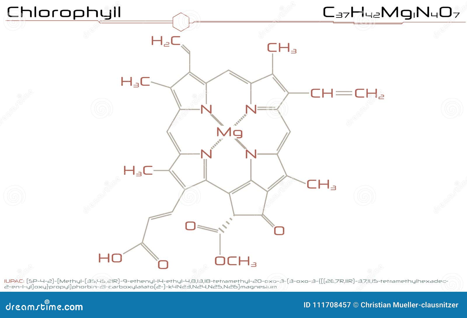 molécula de la clorofila ilustración del vector ilustración de blanco