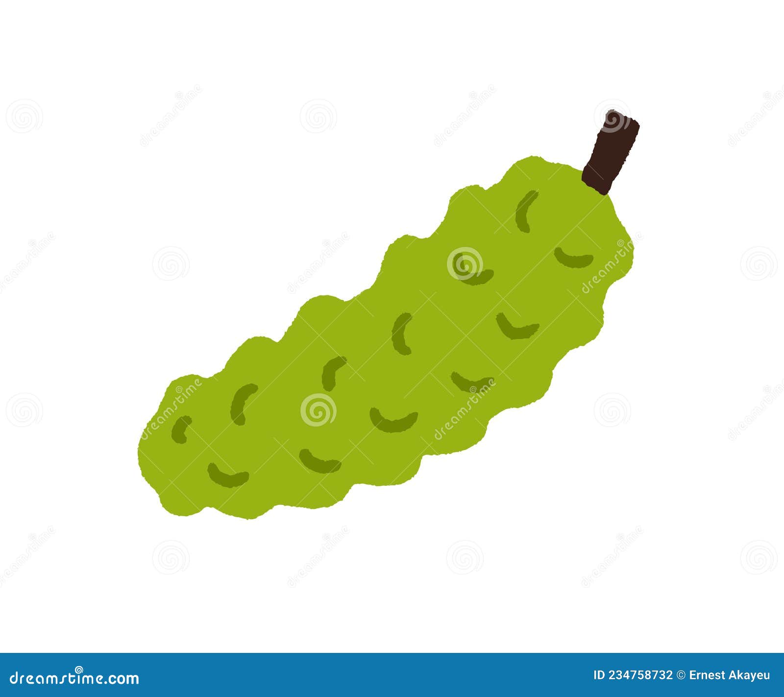 momordica, exotic bitter fruit with bumps. green fruto delicioso. fresh tropical madeira food in doodle style. natural