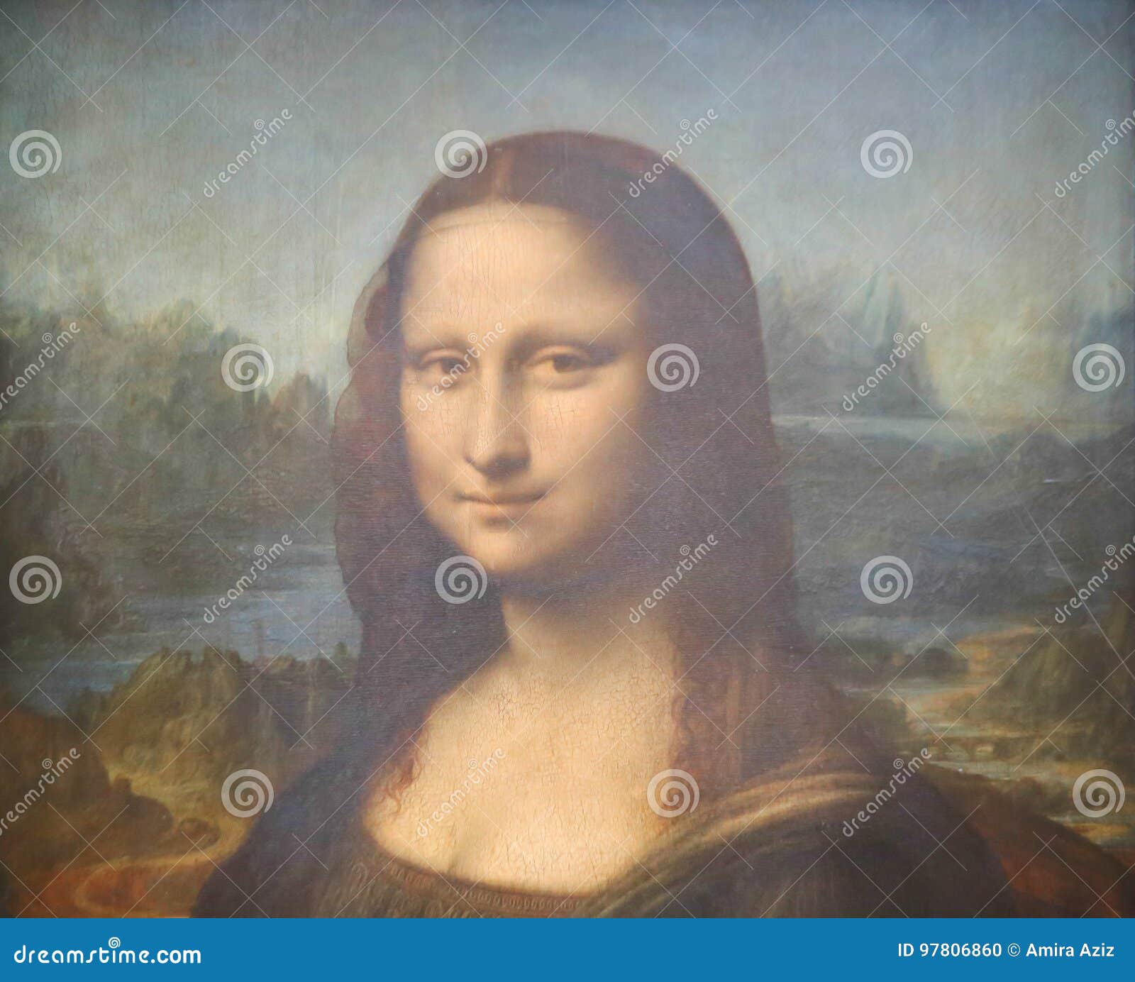 Mona Lisa Monalisa Bald Meme | Postcard