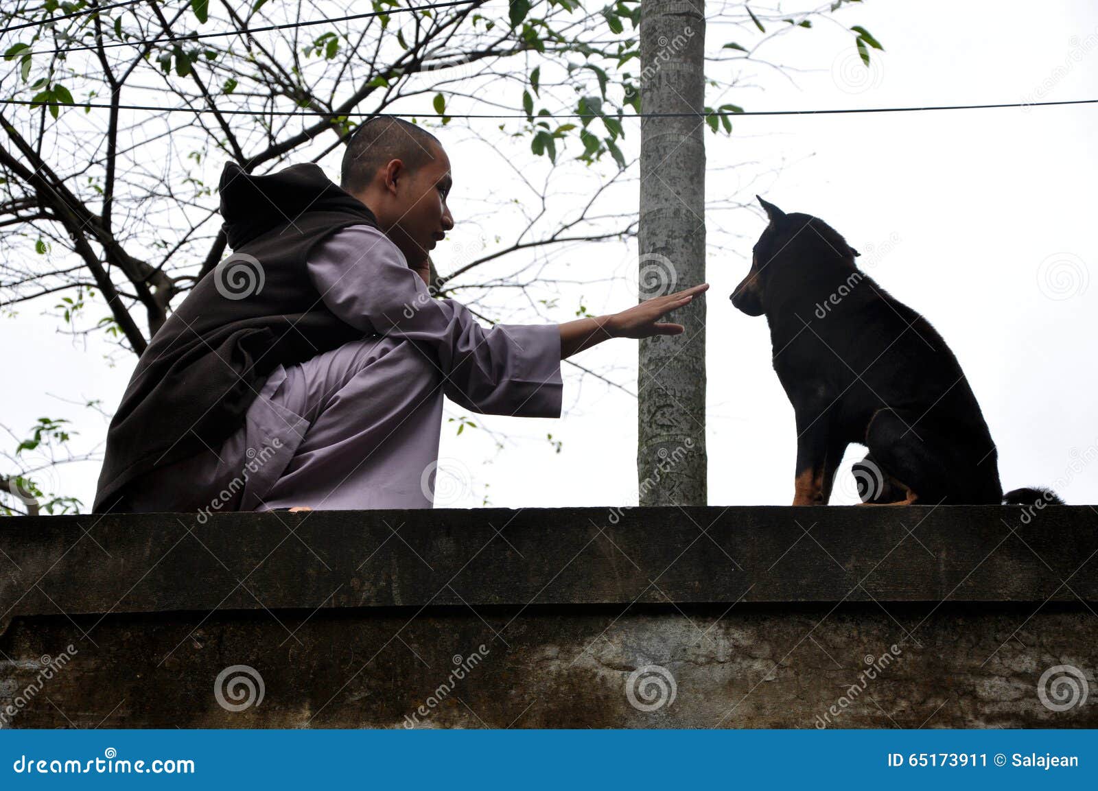 Monaco Buddista Che Gioca Con Un Cane Randagio Fotografia Editoriale Immagine Di Asia Fede