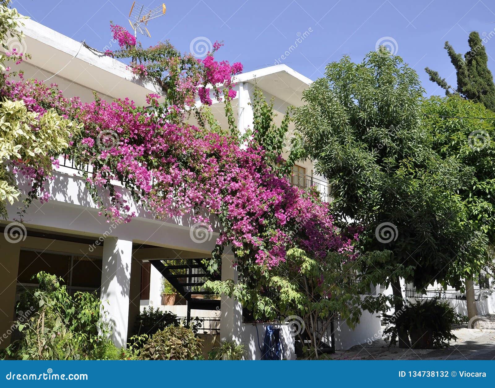 Monastery Panagyia Kaliviani Courtyard Flowers from Mires in Crete