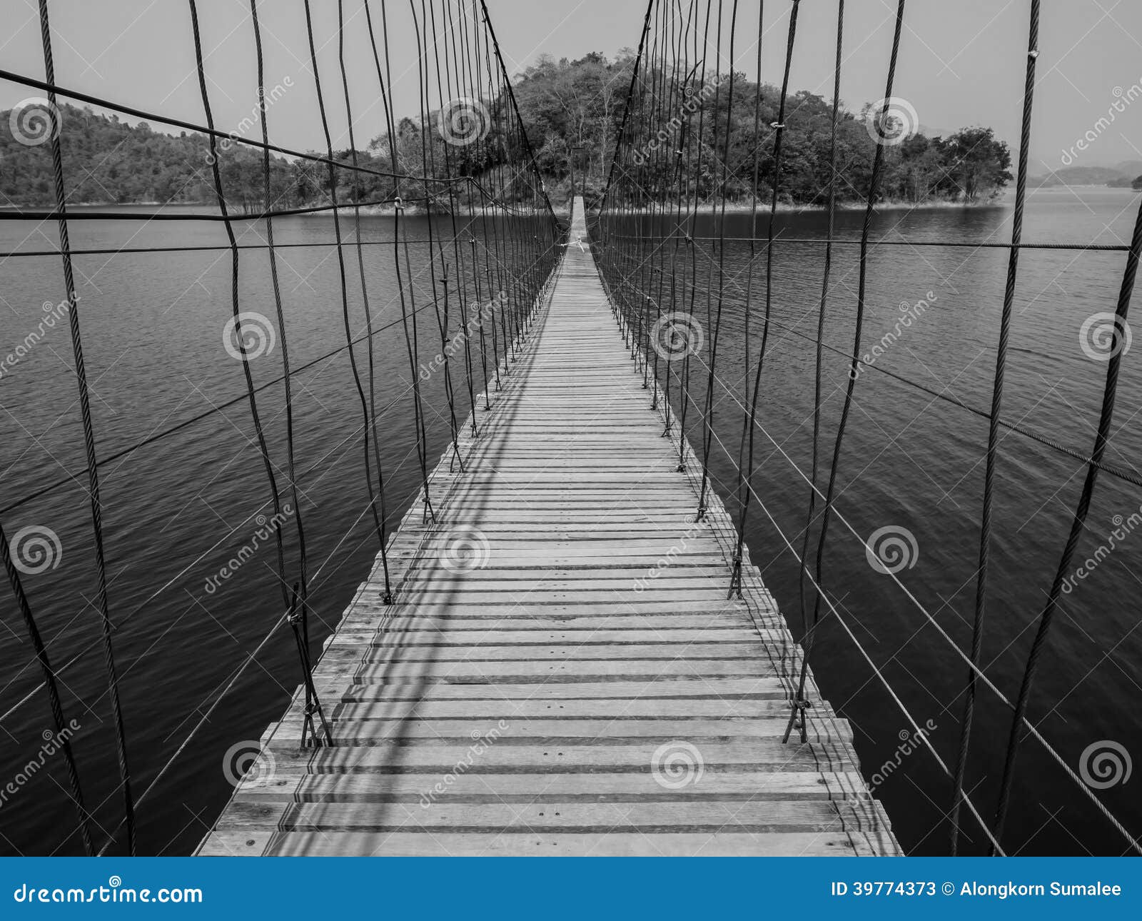 monchrome rope bridge direct to lonely island across the lake