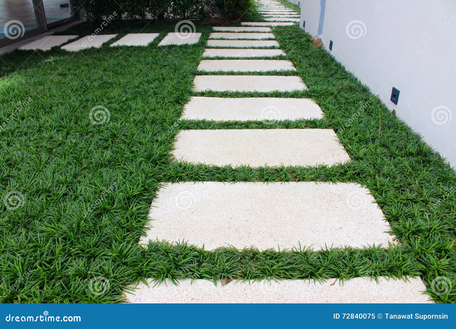 mondo grass between pathway