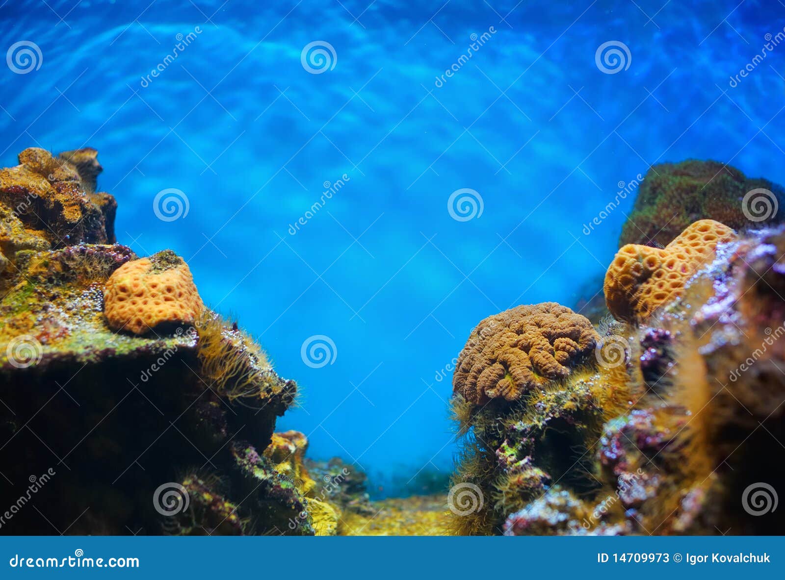 Poster Mondo Subacqueo MeinBaby123 - Set Da 3 Pezzi DIN A4, Balena, Medusa, Tartaruga Per Cameretta - Foto 3