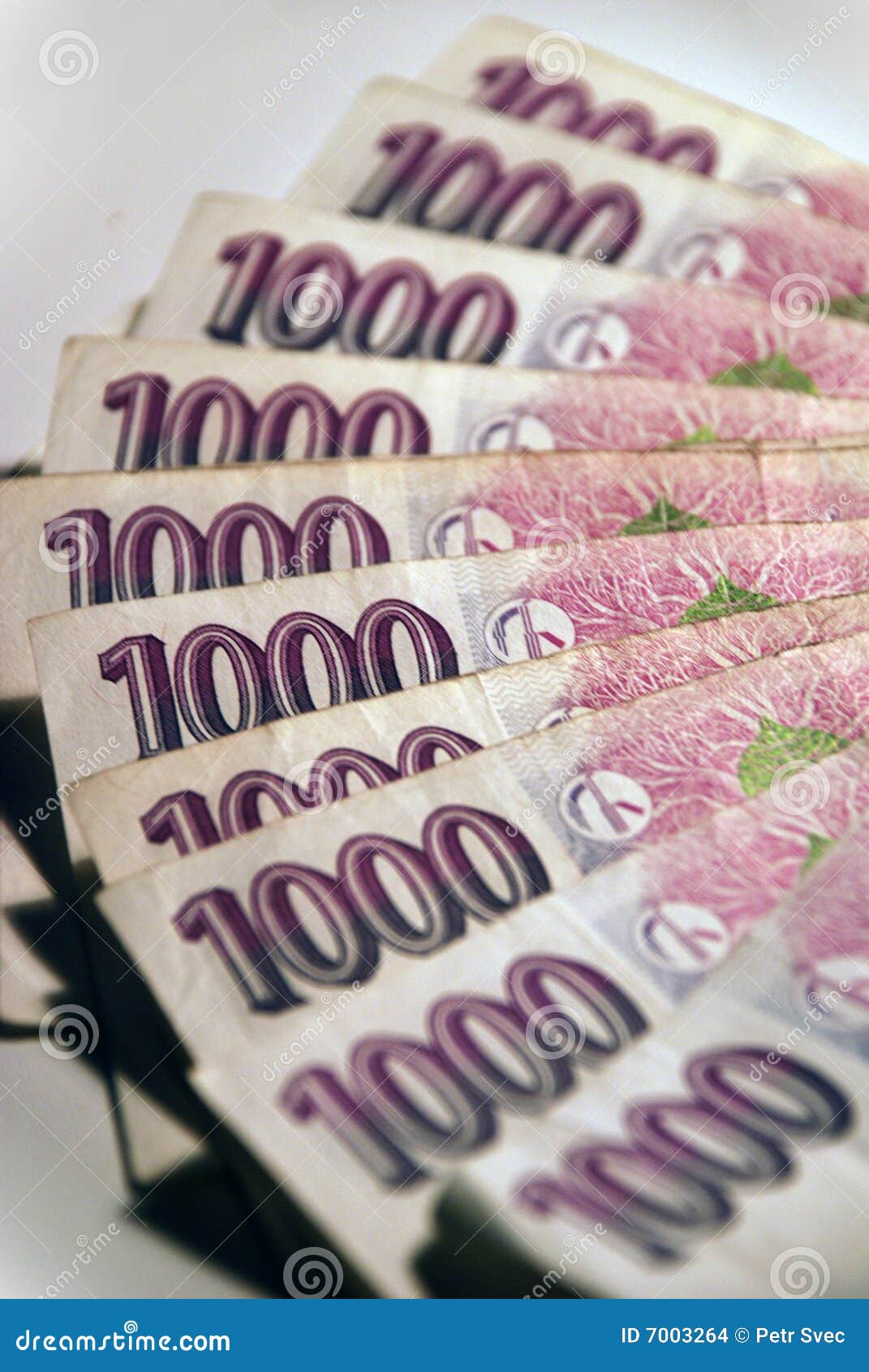 Money #2 stock photo. Image of account, economy, czech - 7003264
