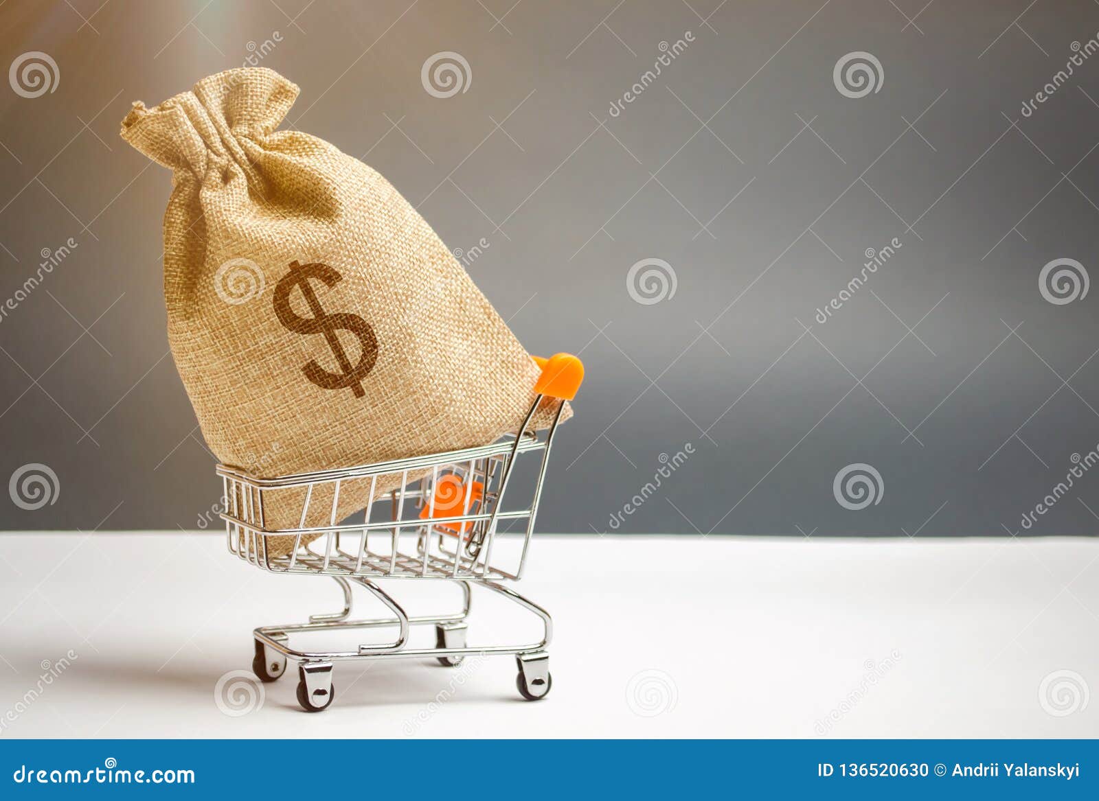 money bag in supermarket trolley and dollar sign. money management. money market. sale, discounts and low prices. gift certificate
