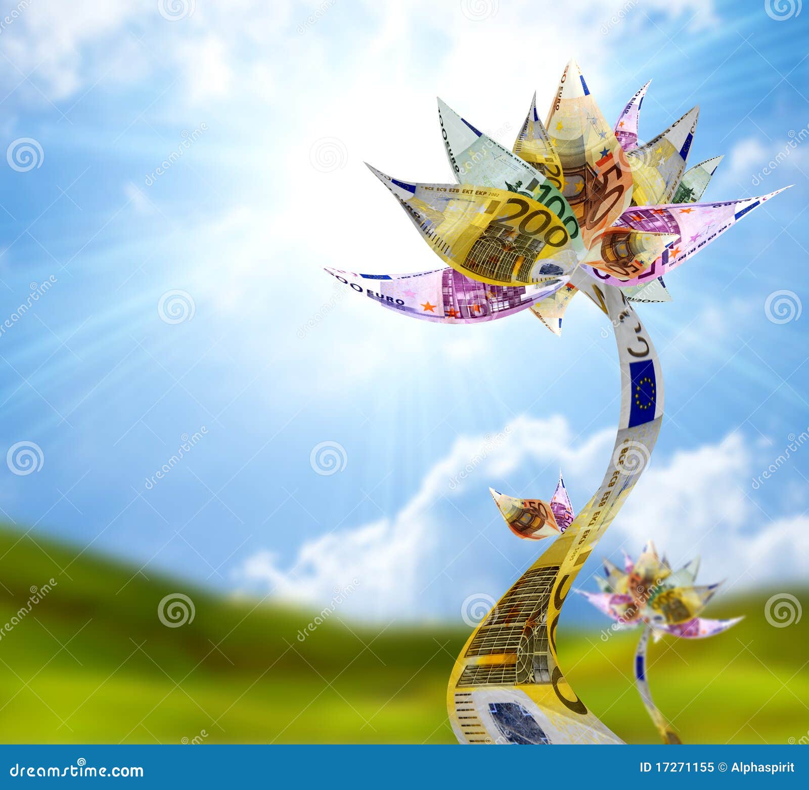 Money flower stock image. Image of credit, paper, symbol - 17271155