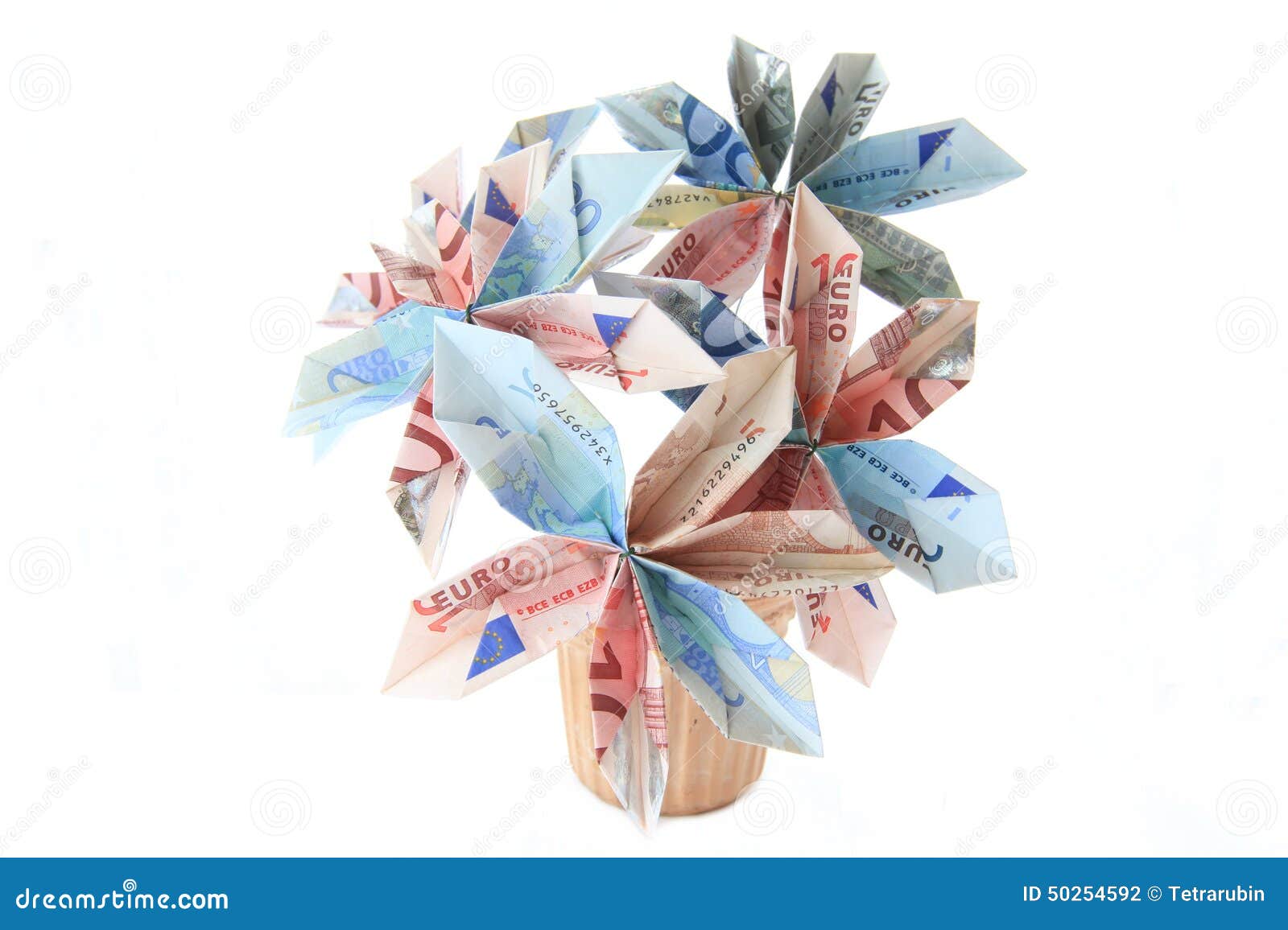 Money flower in a pot stock photo. Image of investment 50254592