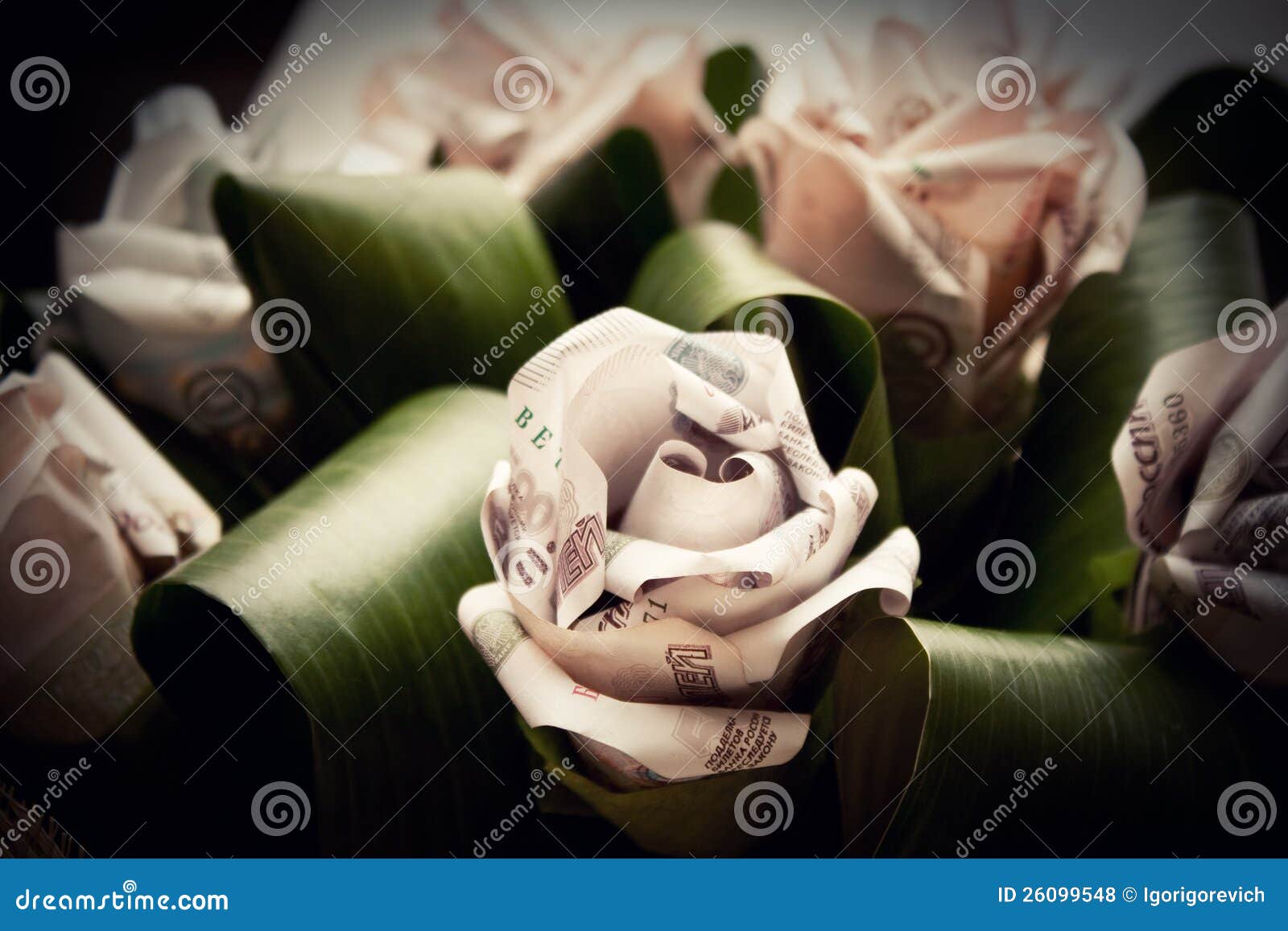 Money flowers stock photo. Image of rich, grow, currency 26099548
