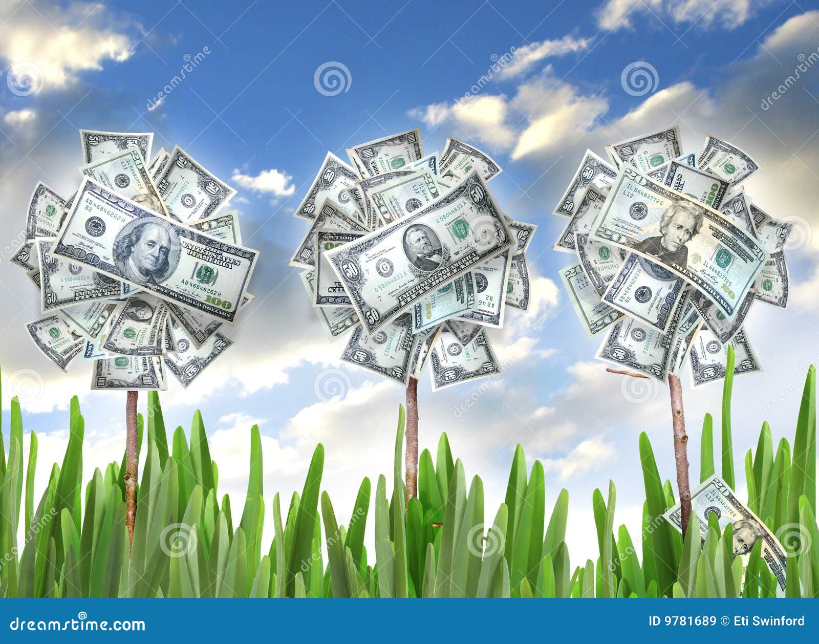 money flowers