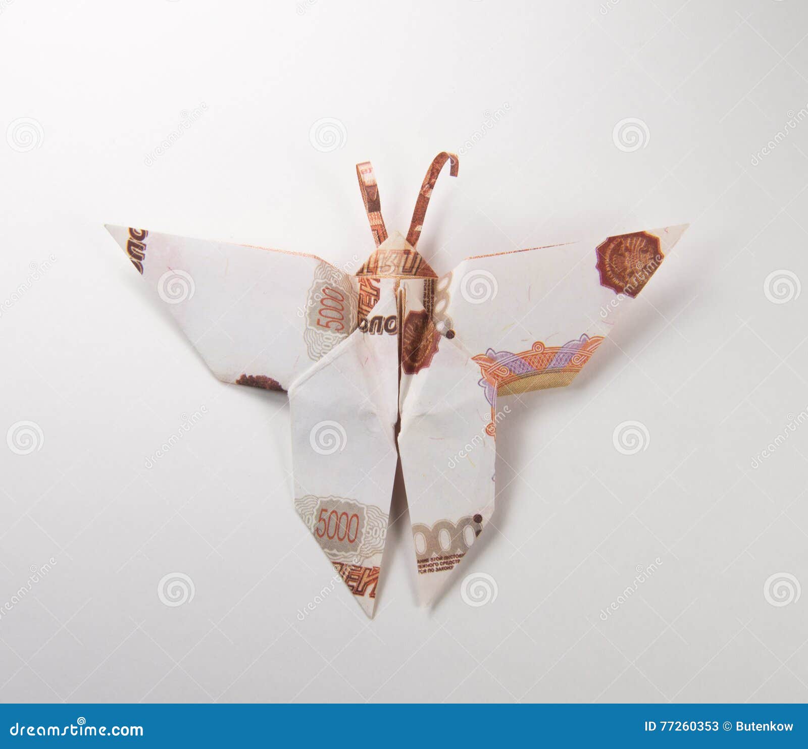 My Image 31