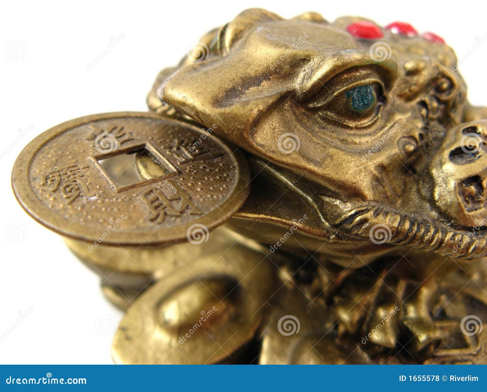 Money Frog stock photo. Image of frog, prosperity, eyes 1655578