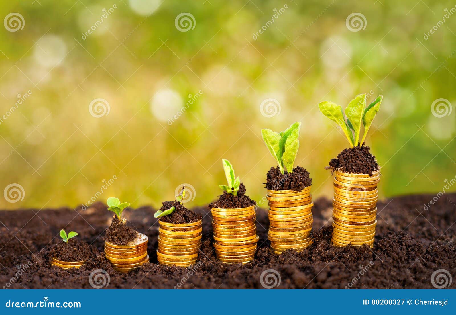 Money growing in soil stock image. Image of hand, coin 80200327