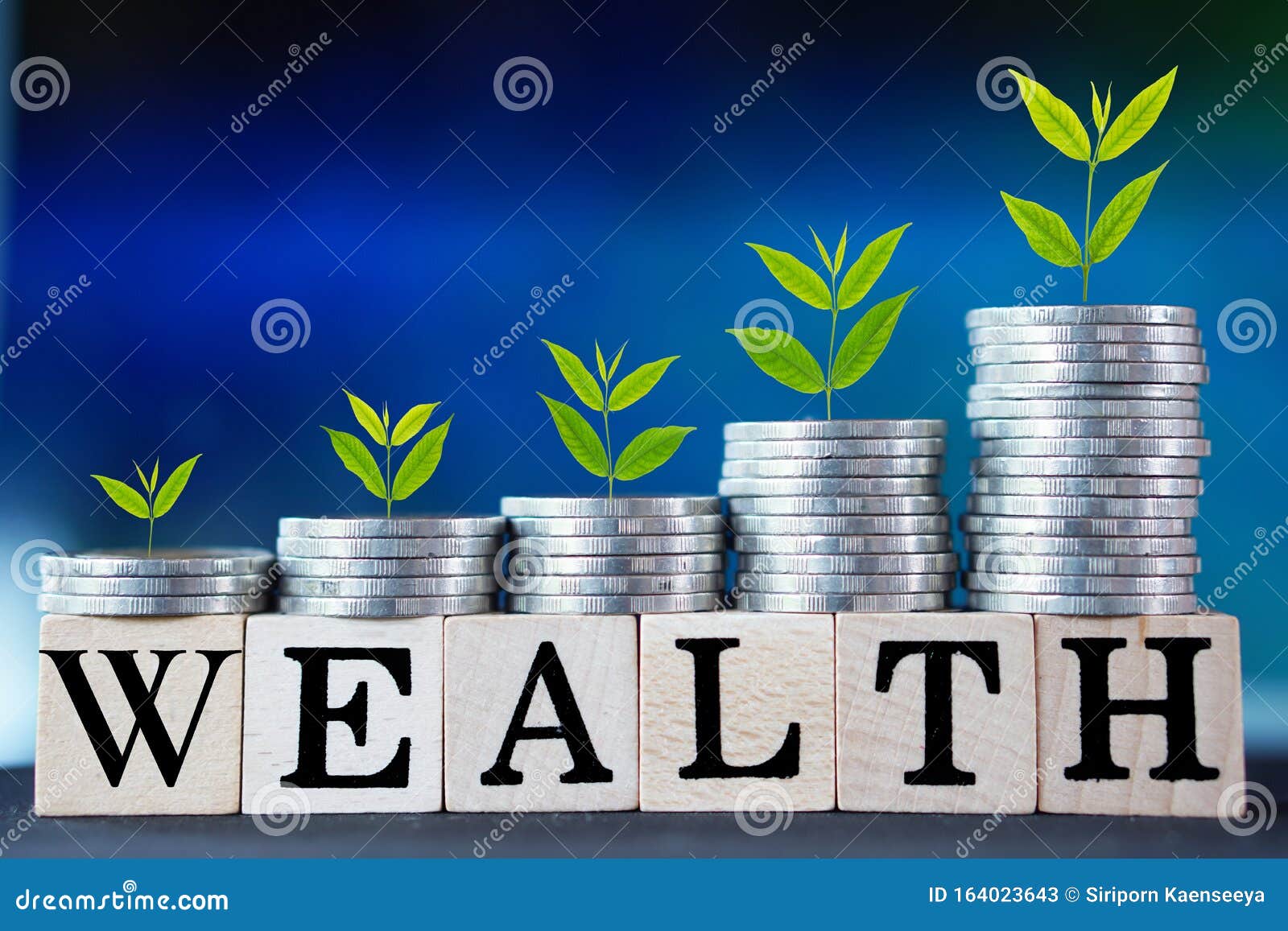 money growing, tree on coins with word wealth ,business concept