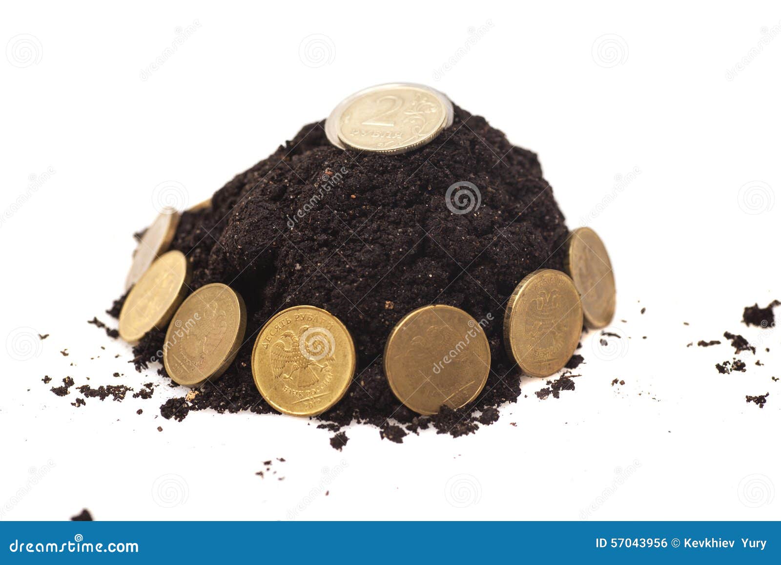 Money Growth.Coins Growing from Soil Stock Photo Image of bank