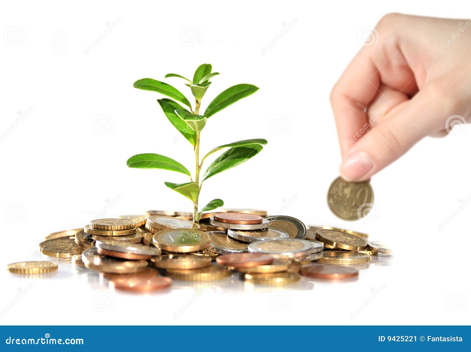 Money and plant. stock image. Image of cash, europe, euro 9425221