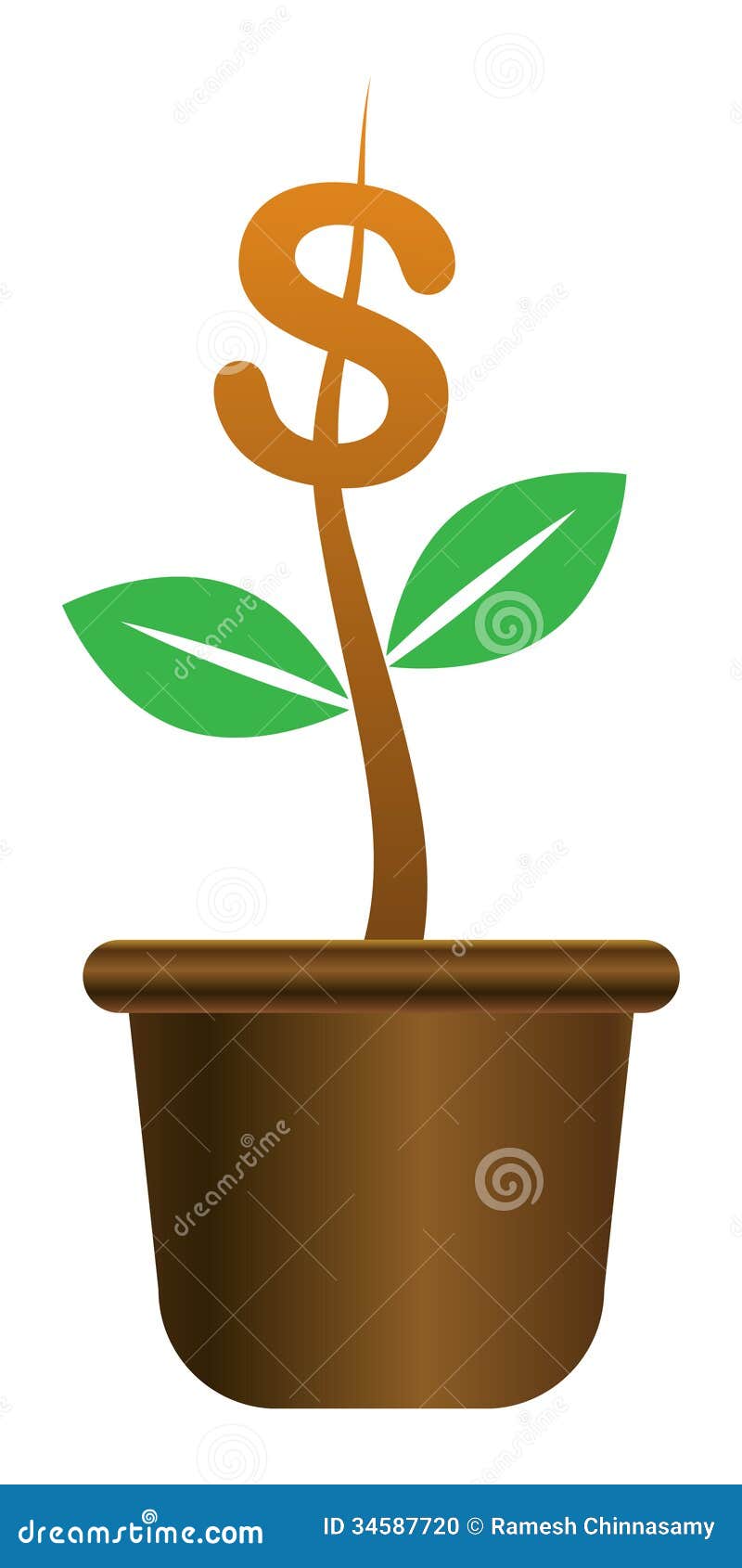 Money Plant Stock Vector Illustration Of Graphic Isolated 34587720 money-plant-stock-vector-illustration-of-graphic-isolated-34587720