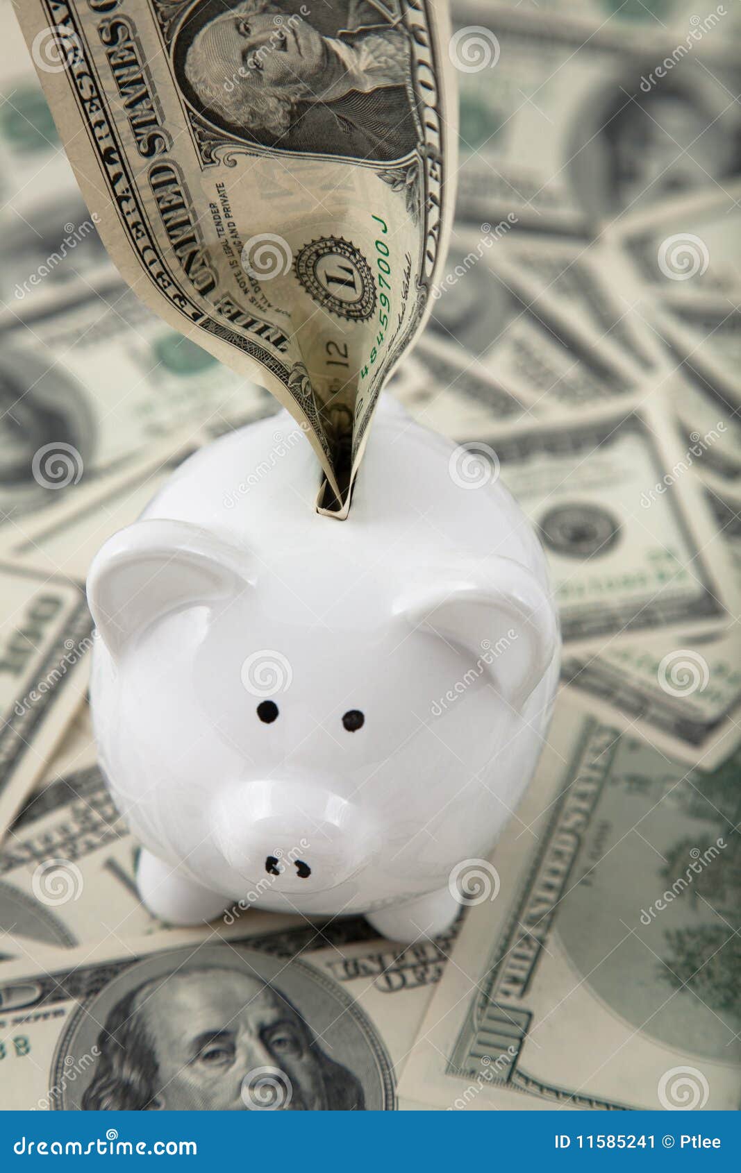 Money Stuffed Into Piggy Bank Stock Image - Image: 11585241