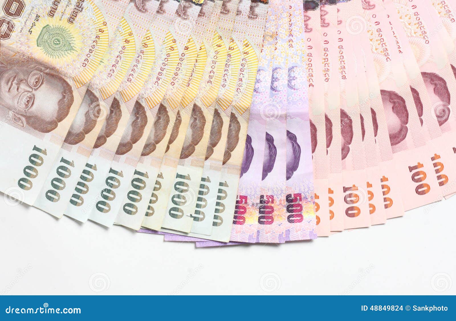 235 Foreign White Siamese Stock Photos - Free & Royalty-Free Stock Photos  from Dreamstime