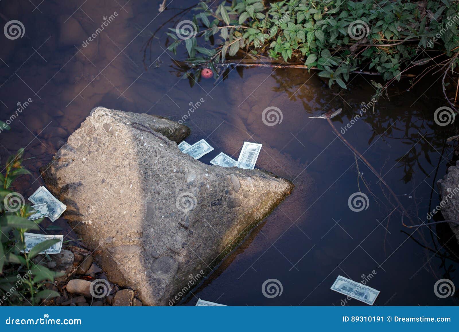 Money Thrown into the Water Stock Image Image of dirty, poverty 89310191